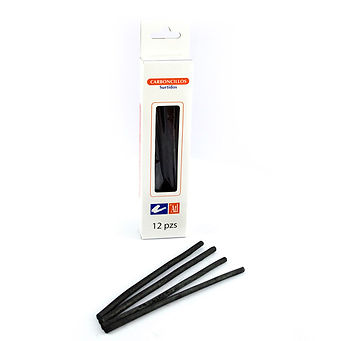 Carboncillos Surtidos ATL  12 Piezas Rodin